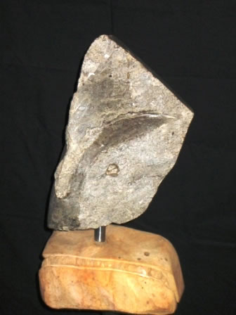 Escultura de fósiles y molejón
